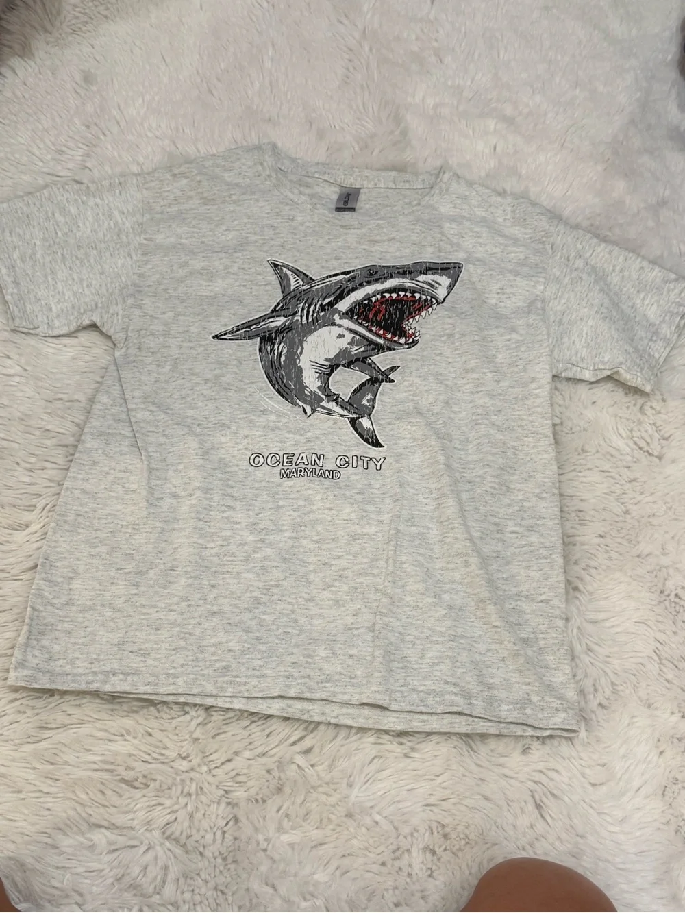 Gildan Light Gray Shark Graphic Tee